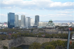 デイルームから大阪城を望む