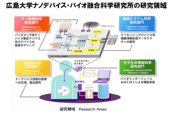 広島大学ナノデバイス・バイオ融合科学研究所の研究領域