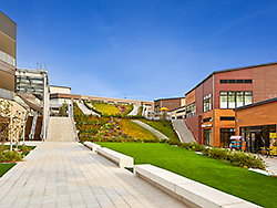 商業施設＋公園の成功事例として知られる「グランベリーパーク」