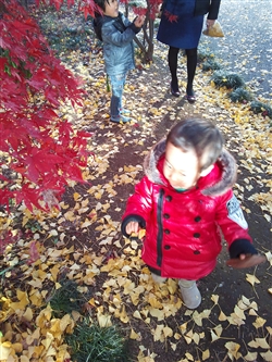 秋が訪れた。公園の木々も色づき始めた