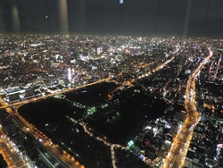 展望台から見た夜景