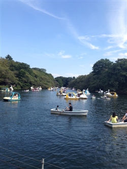 井の頭公園の湖