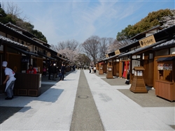 名古屋城の城下町をイメージした「金シャチ横丁」