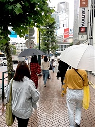 連続猛暑日が懐かしと思ってしまうほど雨が続く