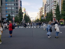 秋葉原の街に再び外国人観光客が戻っている