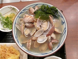 春を演出する「山盛りあさりうどん」