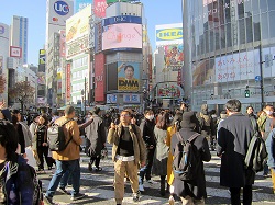 渋谷のスクランブル交差点は外国人旅行者で賑わう（写真は23年12月撮影）