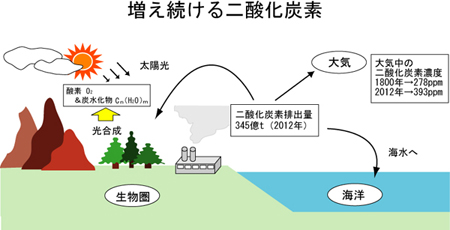 二酸化炭素は邪魔者か 電子デバイス産業新聞 旧半導体産業新聞