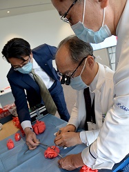 軟質3D心臓モデルを用いた人工血管縫合のデモ