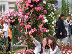 自分どりをする元気な女性たちは多いのだ