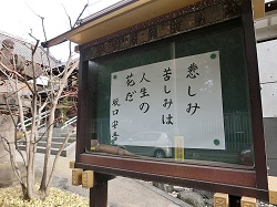 上野寛永寺の裏にある別院の書